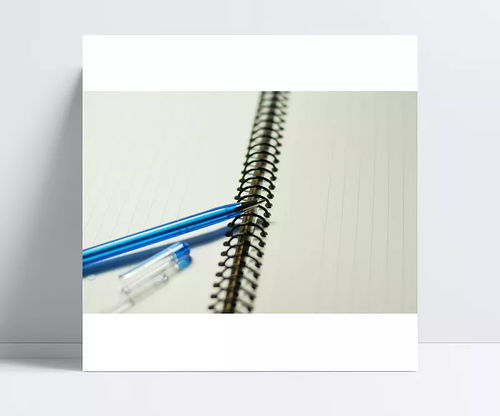 我们不一样 办公用品中的笔记本与笔的艺术魅力